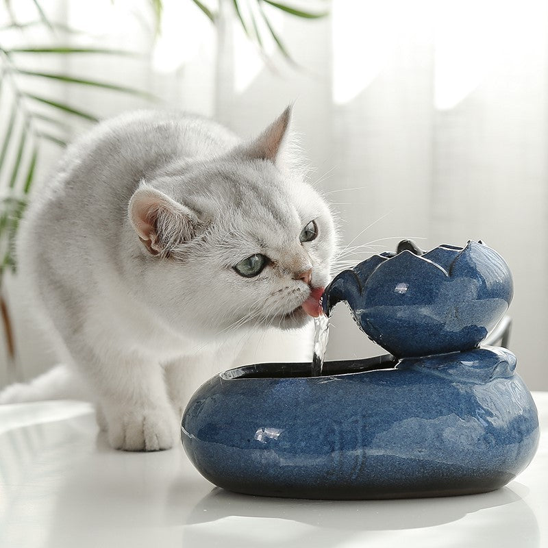 Large Capacity Cat Feeder Water Feeder | Dual Automatic Gravity Supply Station